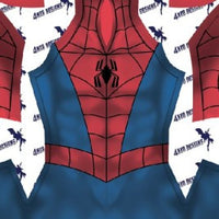 Spider-Man Spectacular - Aesthetic Cosplay, LLC