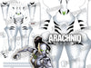 Black Panther - White Tiger - Aesthetic Cosplay, LLC